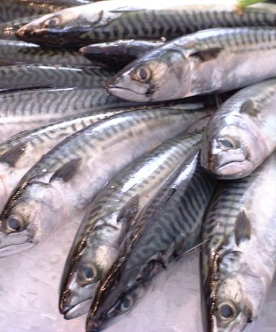 Fresh mackerel Fish, 1kg