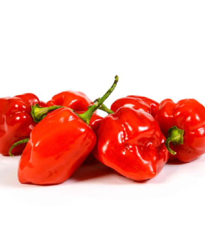 Hot habanero pepper Hebanero pipirai, aštrūs 100g